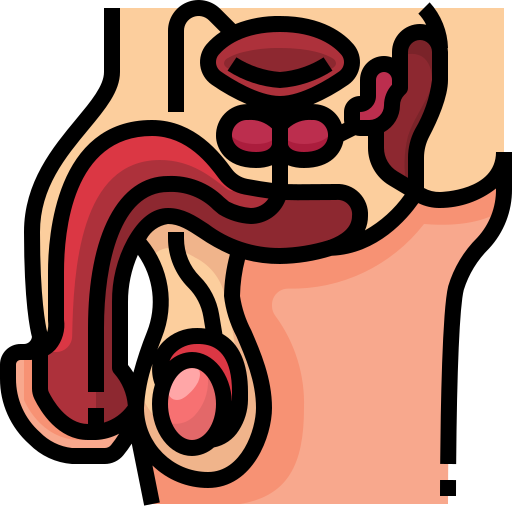 reproductivo icono gratis