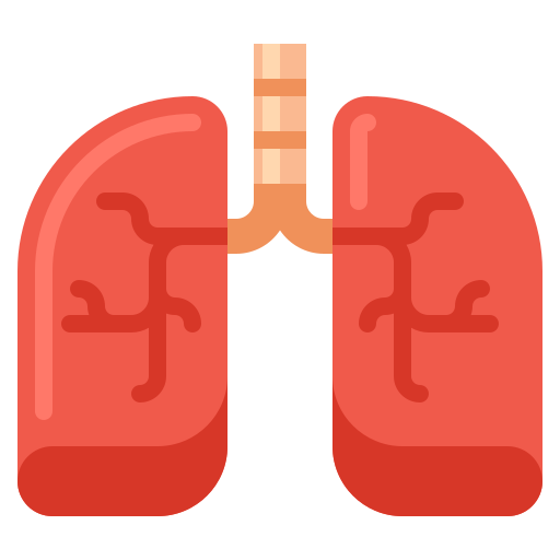 Легкие бесплатно иконка