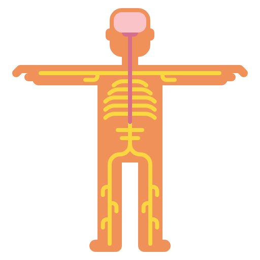Nervous system free icon