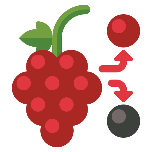 Выбор бесплатно иконка