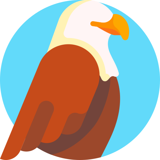 aigle Icône gratuit