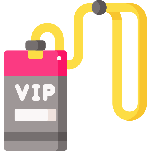 Vip card Special Flat icon