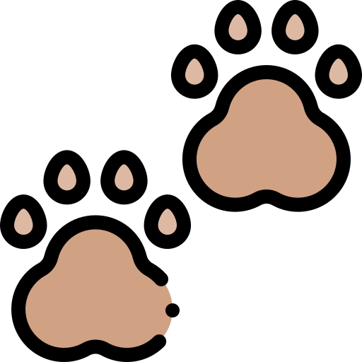 Paws Detailed Rounded Lineal color icon