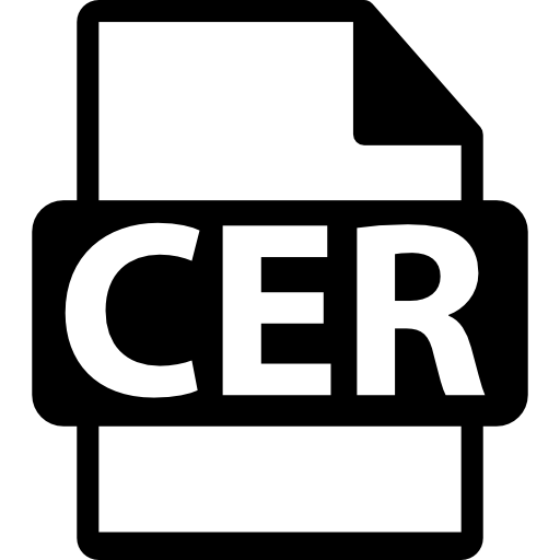 symbole de format de fichier cer Icône gratuit