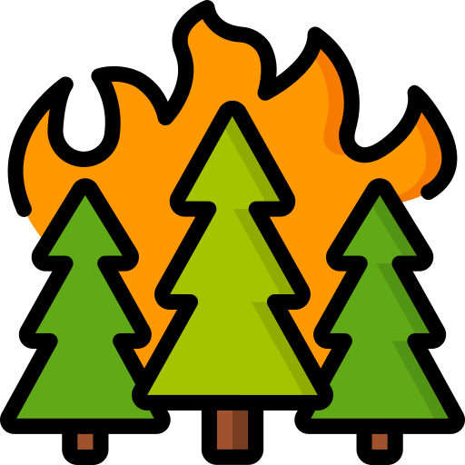 Wildfire Basic Miscellany Lineal Color icon