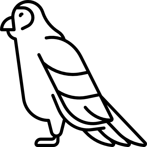 Parrot Special Lineal icon