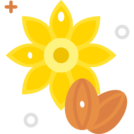 tournesol Icône gratuit tournesol Icône gratuit