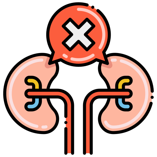 Kidney free icon Kidney free icon