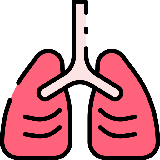 Lungs - Free healthcare and medical icons