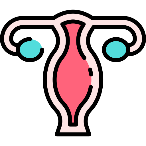 Uterus - Free medical icons