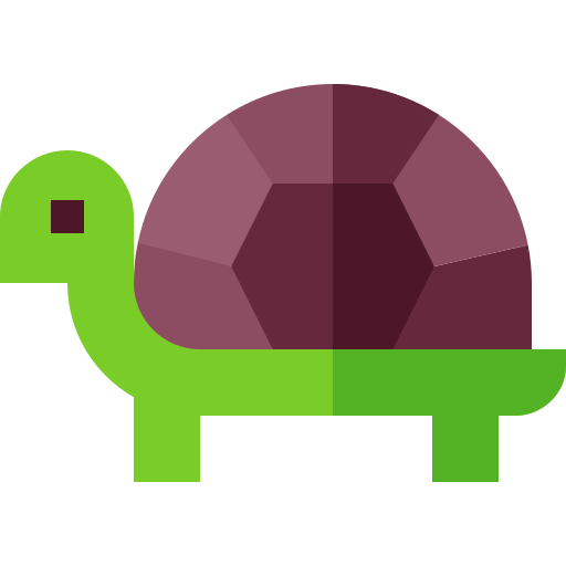 Tortoise Basic Straight Flat icon