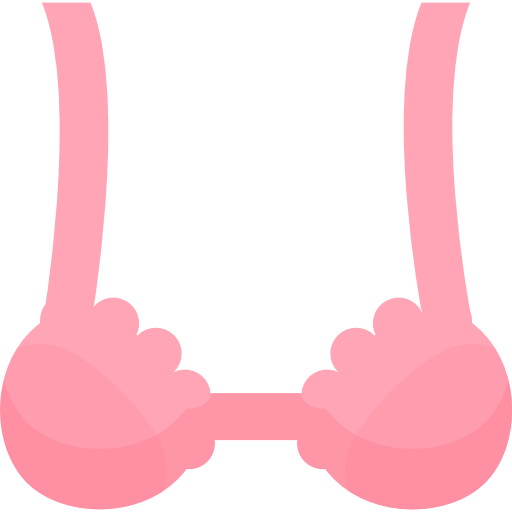 Бюстгальтер бесплатно иконка