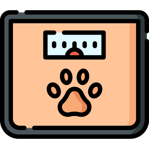 https://cdn-icons-png.flaticon.com/512/2930/2930793.png