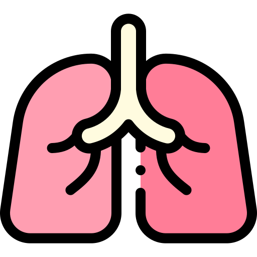 Lungs Detailed Rounded Lineal color icon