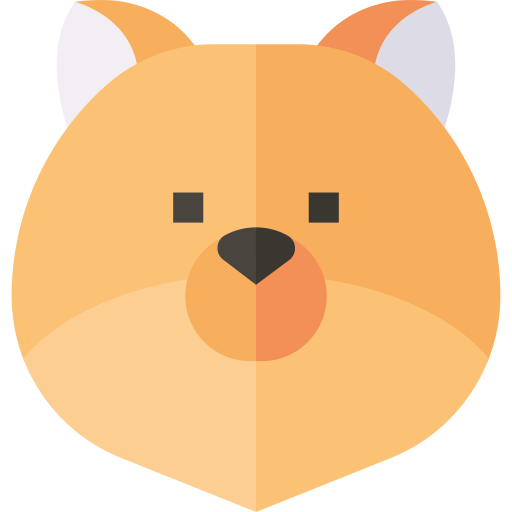 pomeranio icono gratis