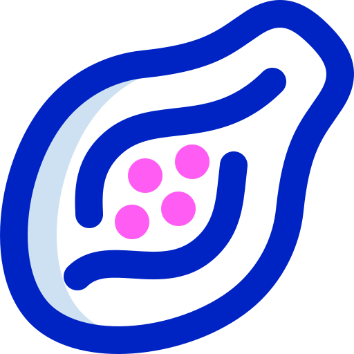 papaye Icône gratuit papaye Icône gratuit