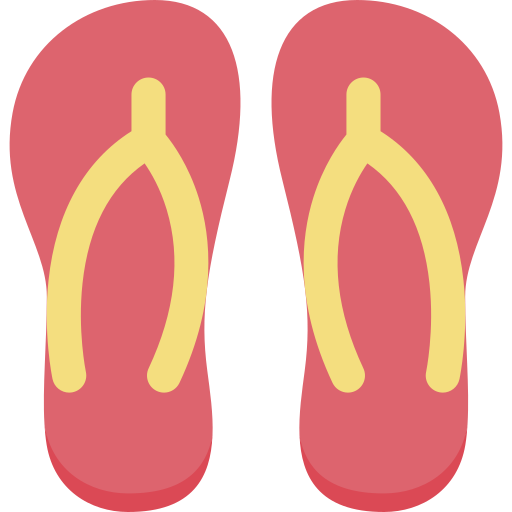 Flip flops Special Flat icon