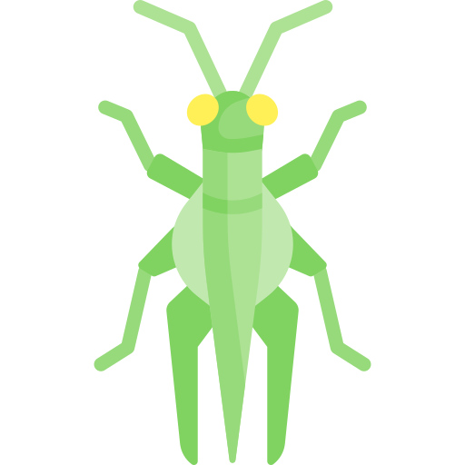 Grasshopper Special Flat icon