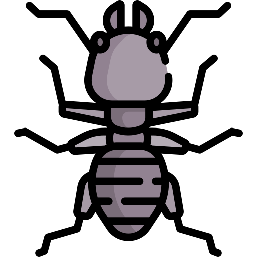 insecto icono gratis