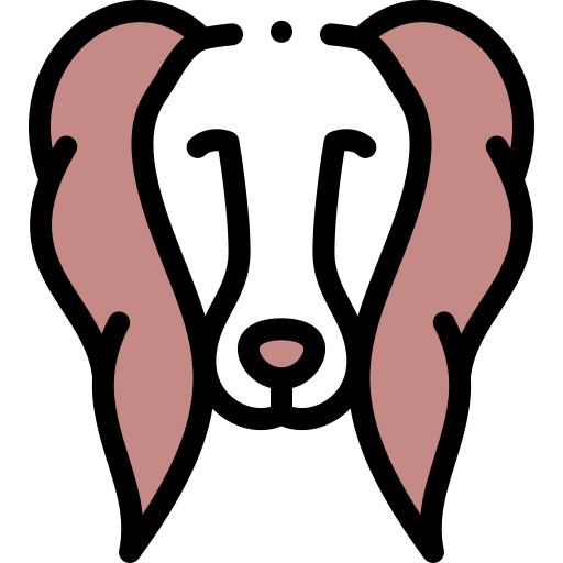 spaniel icono gratis