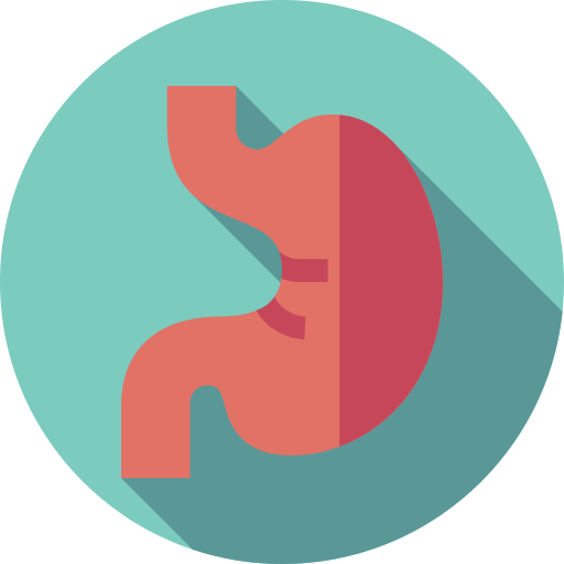 bauch kostenlos Icon