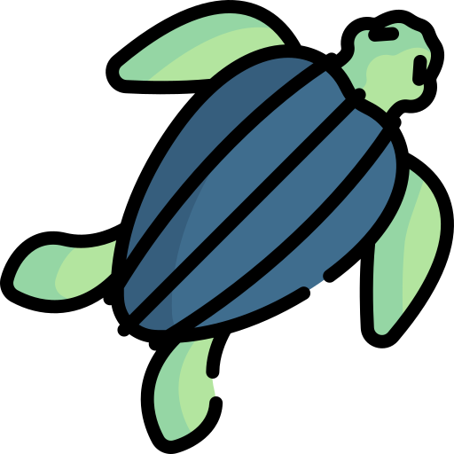 Turtle Special Lineal color icon