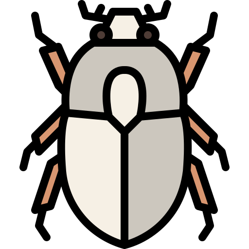 Beetle Generic Outline Color icon