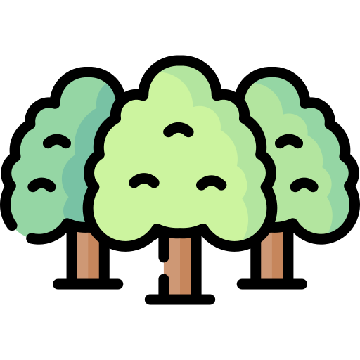 Forest Special Lineal color icon