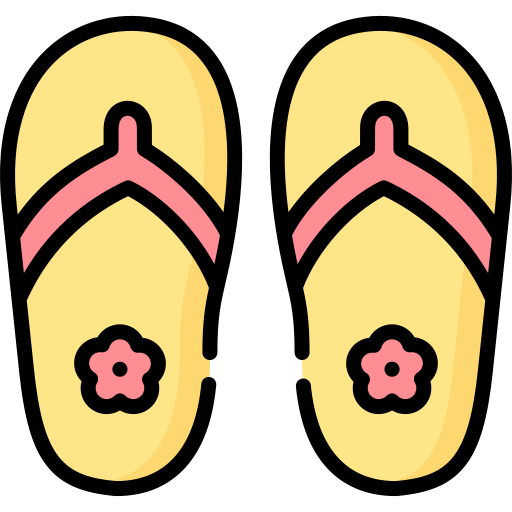 Sandals Special Lineal color icon