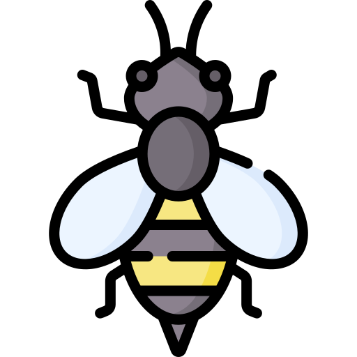 Bee Special Lineal color icon