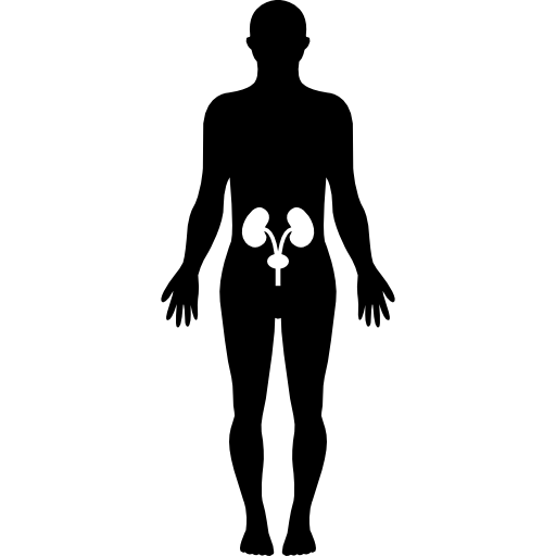 Standing human body silhouette icon