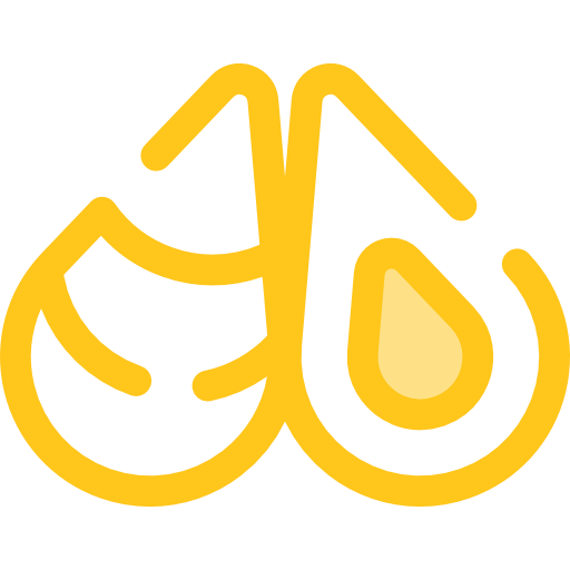 Мидия бесплатно иконка