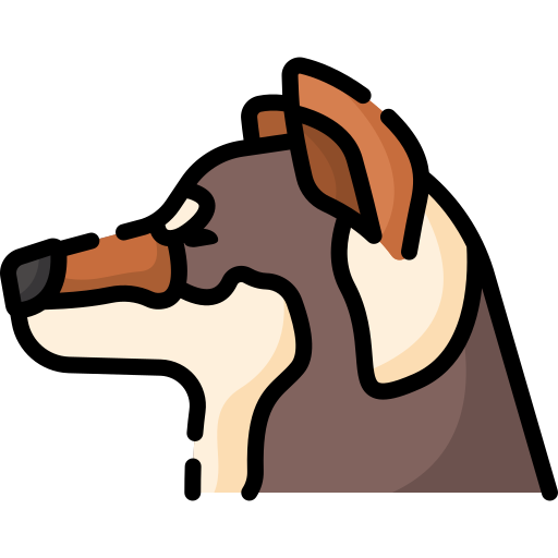 Сикоку ину бесплатно иконка