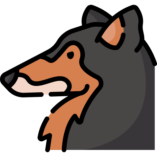 rauer collie kostenlos Icon