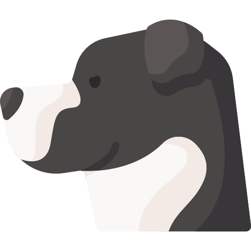pitbull kostenlos Icon pitbull kostenlos Icon