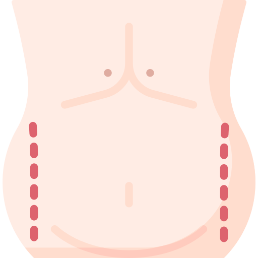 torso icono gratis