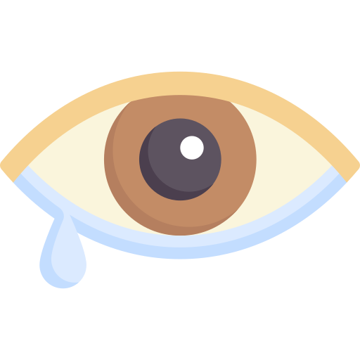 Eye Special Flat Icon