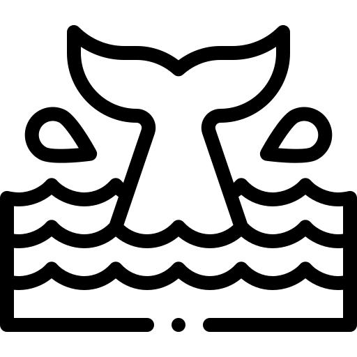 Whale free icon