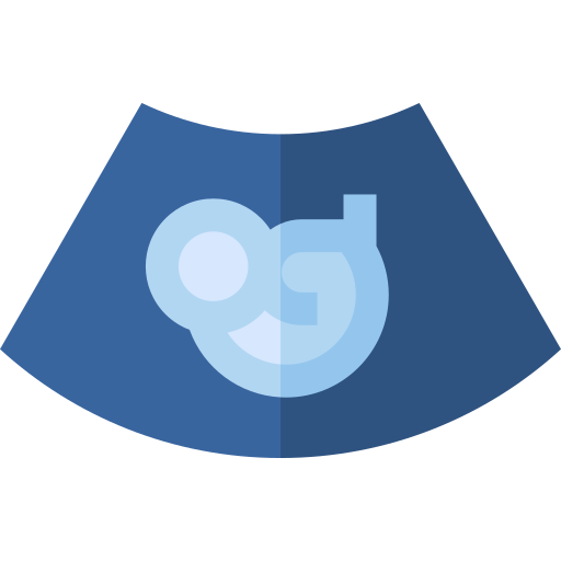 ecografía icono gratis