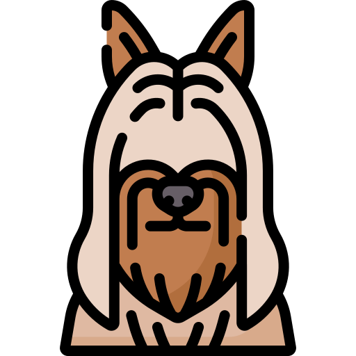 실키 테리어 무료 아이콘