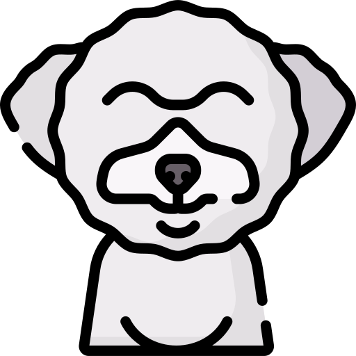 bichon frise icono gratis