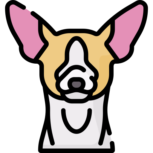 Chihuahua - Free Animals Icons