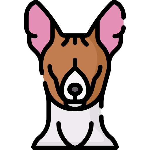 Basenji Special Lineal color icon