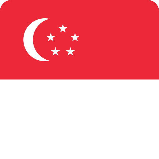 Singapore Generic Flat icon