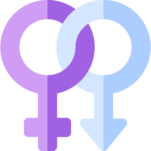 Bigender Basic Rounded Flat icon