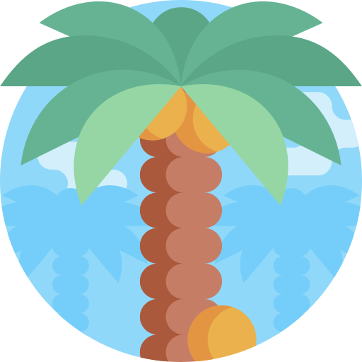 palmera icono gratis