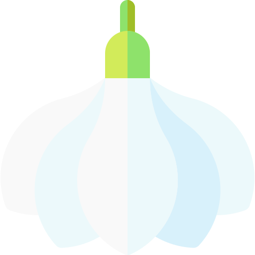 yucca kostenlos Icon yucca kostenlos Icon