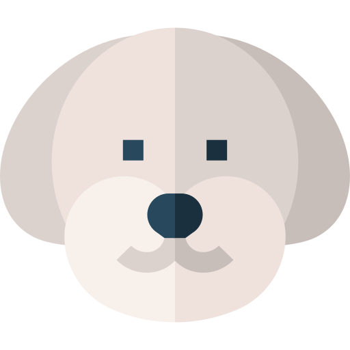 bichon frise icono gratis