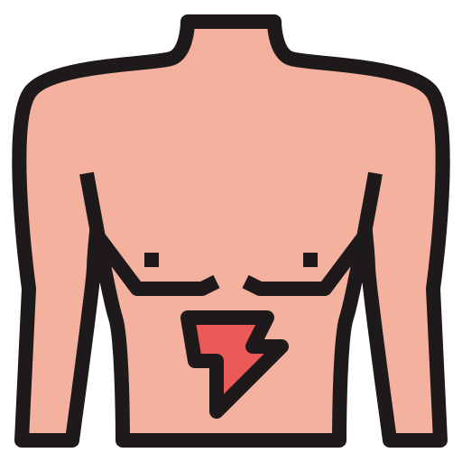bauch kostenlos Icon bauch kostenlos Icon