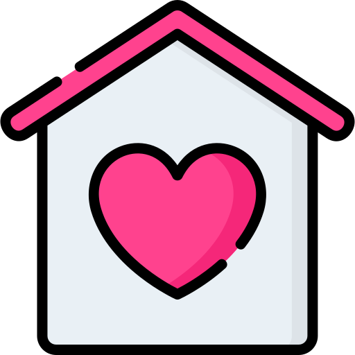 Home Special Lineal color icon